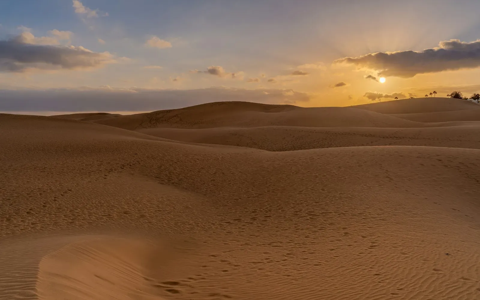Sanddünen von Maspalomas auf Gran Canaria bei Sonnenuntergang – Gay Urlaub in Europa