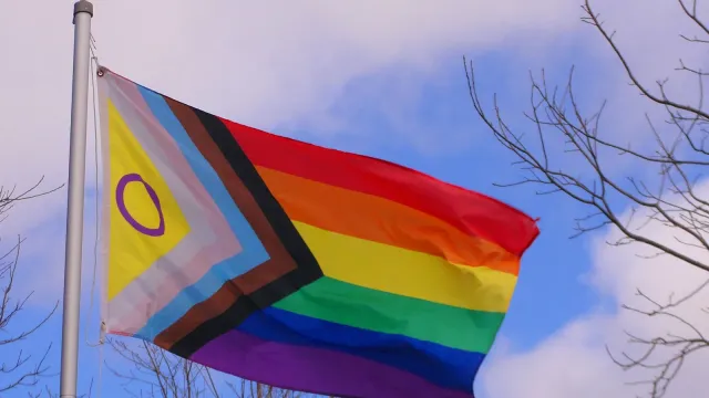 Progress-Pride-Flagge weht vor blauem Himmel – Gay Dating in Deutschland
