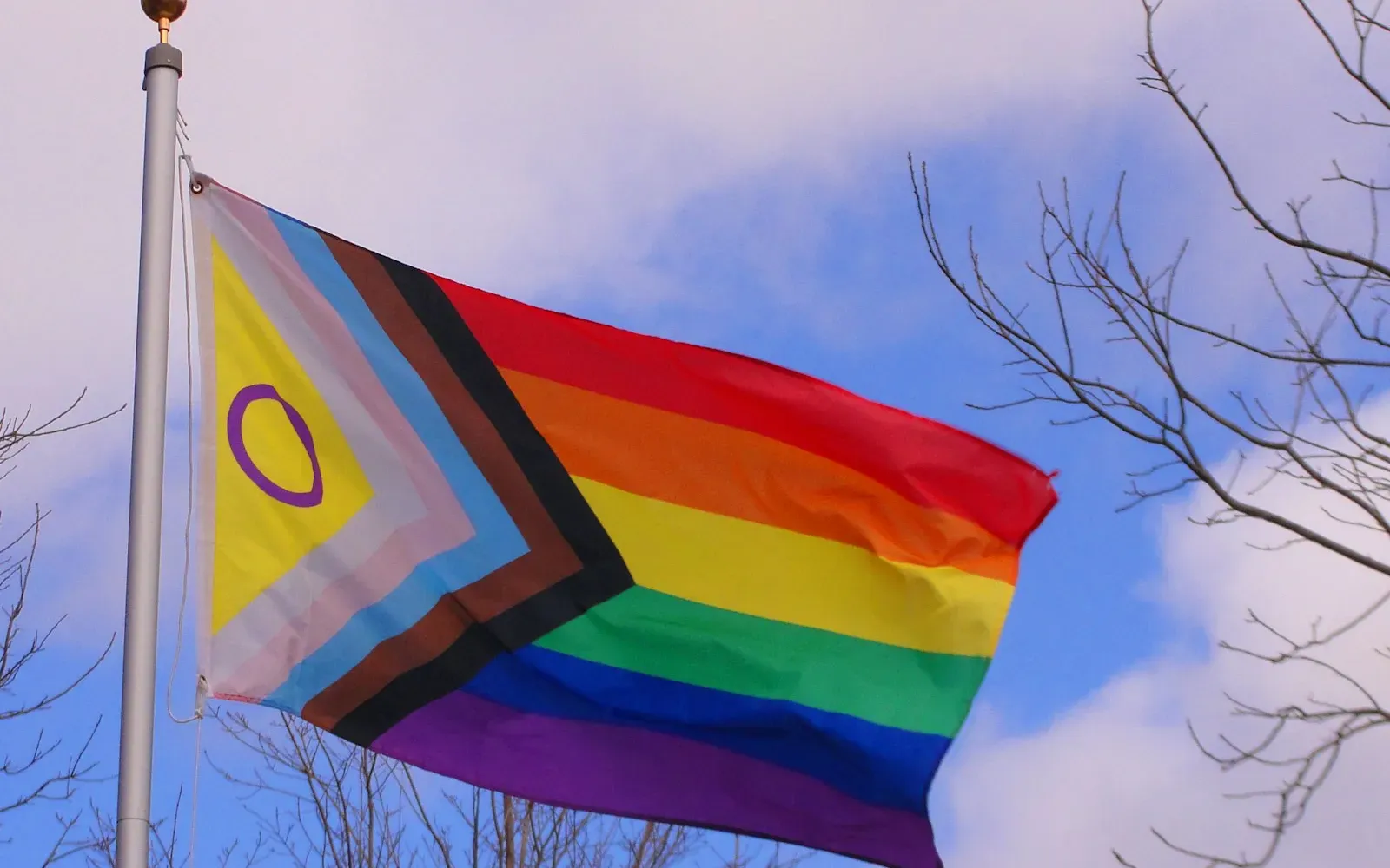 Progress-Pride-Flagge weht vor blauem Himmel – Gay Dating in Deutschland